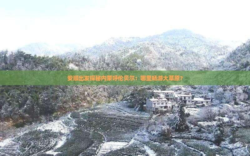 安顺出发探秘内蒙呼伦贝尔：哪里畅游大草原？