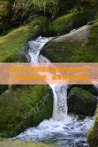 如何从日喀则高效往返内蒙大召寺？掌握最新攻略，解决高原交通痛点！