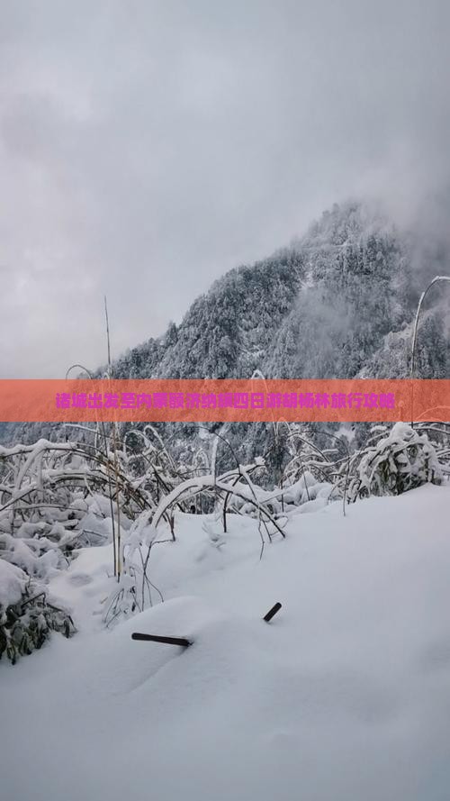 诸城出发至内蒙额济纳旗四日游胡杨林旅行攻略