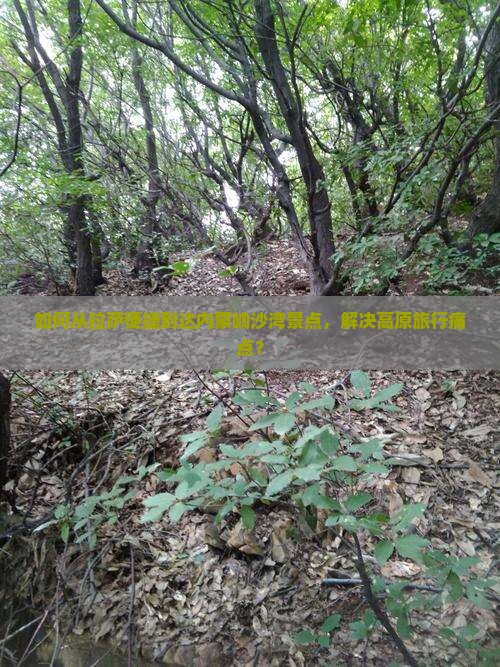 如何从拉萨便捷到达内蒙响沙湾景点，解决高原旅行痛点？