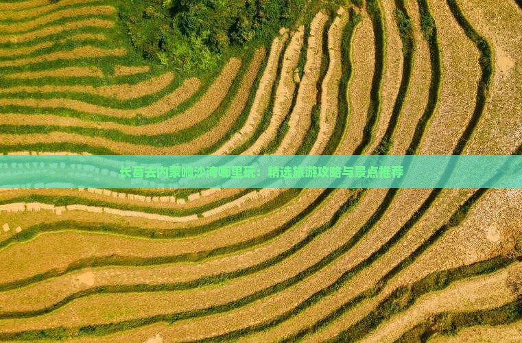 长葛去内蒙响沙湾哪里玩：精选旅游攻略与景点推荐