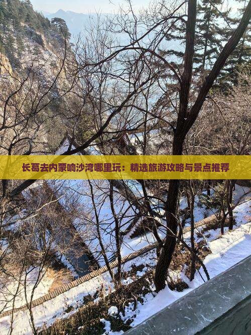 长葛去内蒙响沙湾哪里玩：精选旅游攻略与景点推荐