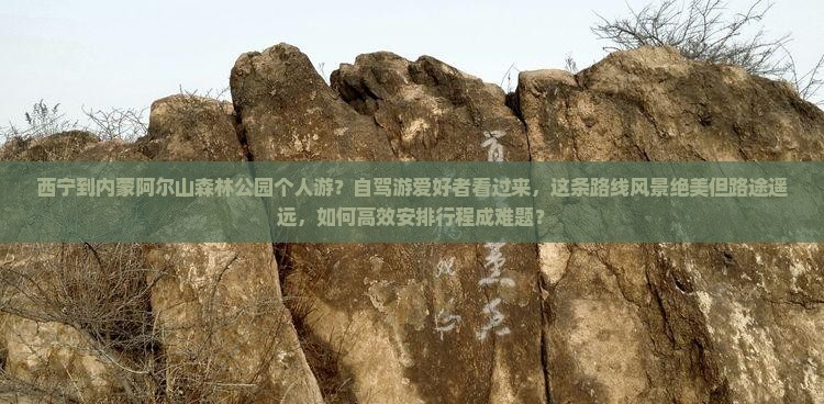 西宁到内蒙阿尔山森林公园个人游？自驾游爱好者看过来，这条路线风景绝美但路途遥远，如何高效安排行程成难题？