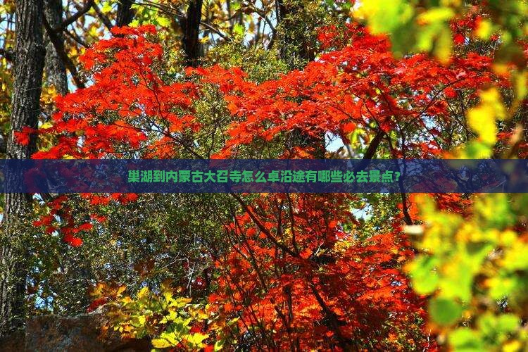 巢湖到内蒙古大召寺怎么卓沿途有哪些必去景点？