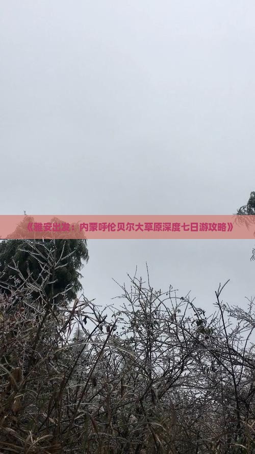 《雅安出发：内蒙呼伦贝尔大草原深度七日游攻略》