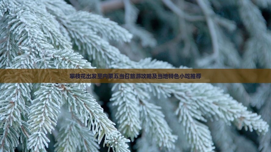 攀枝花出发至内蒙五当召旅游攻略及当地特色小吃推荐
