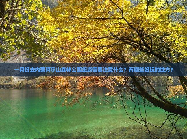 一月份去内蒙阿尔山森林公园旅游需要注意什么？有哪些好玩的地方？