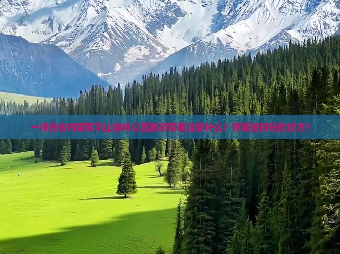 一月份去内蒙阿尔山森林公园旅游需要注意什么？有哪些好玩的地方？