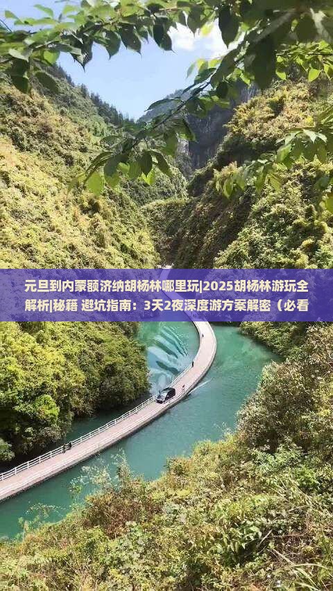 元旦到内蒙额济纳胡杨林哪里玩