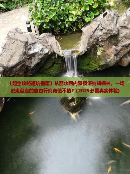 丽水去内蒙额济纳胡杨林自由行