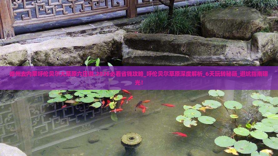 德州去内蒙呼伦贝尔大草原六日游
