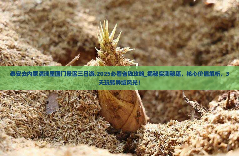 泰安去内蒙满洲里国门景区三日游