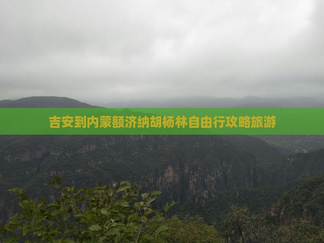吉安到内蒙额济纳胡杨林自由行