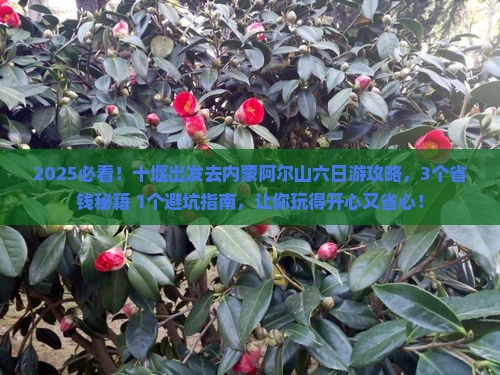 十堰到内蒙阿尔山国家森林公园六日游