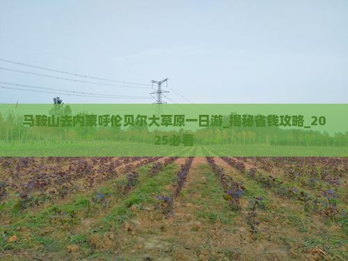 马鞍山去内蒙呼伦贝尔大草原一日游