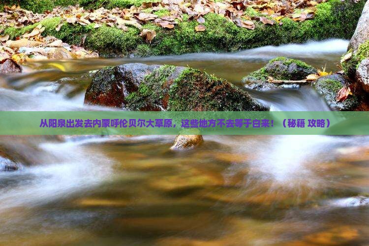 阳泉去内蒙呼伦贝尔大草原必去地