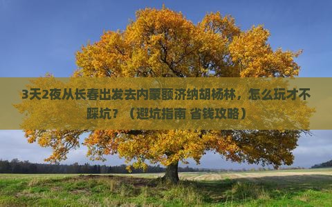 长春去内蒙额济纳胡杨林自由行