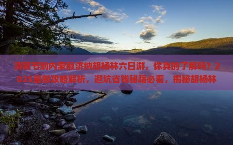 清明节到内蒙额济纳胡杨林六日游