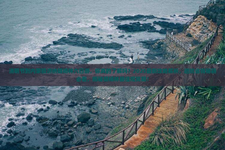 清明节到内蒙额济纳胡杨林六日游