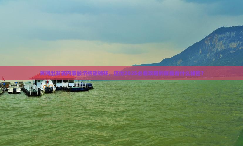 黄冈去内蒙额济纳胡杨林景点