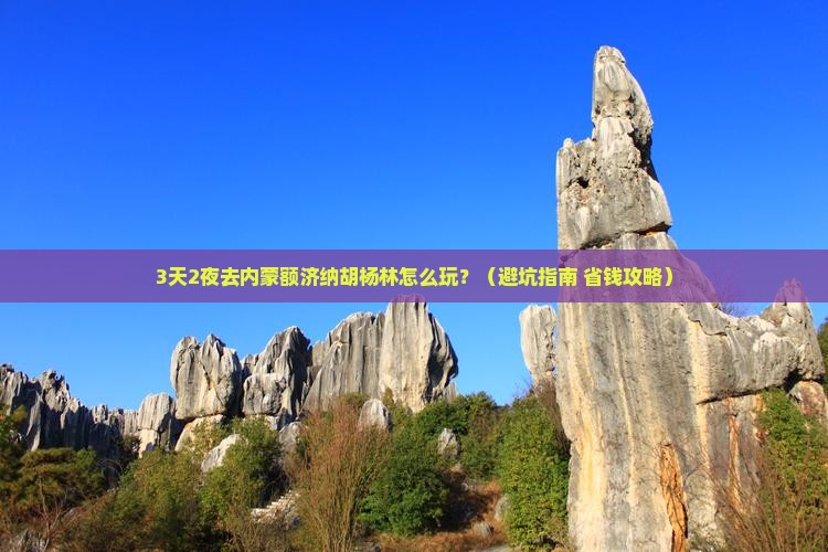 镇江去内蒙额济纳胡杨林旅行社