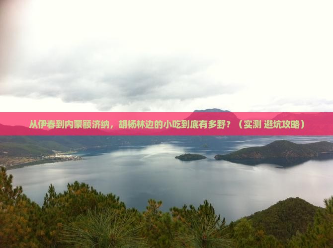 伊春到内蒙额济纳胡杨林旅游小吃