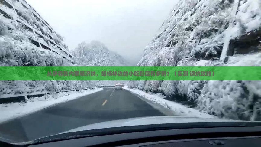 伊春到内蒙额济纳胡杨林旅游小吃