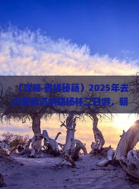朝阳去内蒙额济纳胡杨林二日游