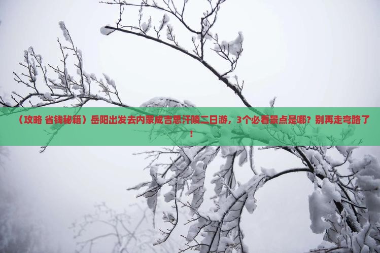 岳阳去内蒙成吉思汗陵二日游