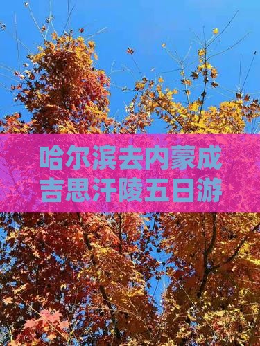 哈尔滨去内蒙成吉思汗陵五日游路线推荐