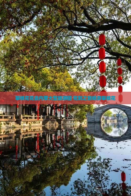 攀枝花花去内蒙大型旅游团 花到之旅畅游攀枝花