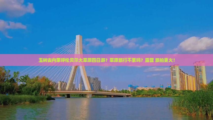 玉树去内蒙呼伦贝尔大草原四日游？草原旅行不累吗？露营+旅拍更火！