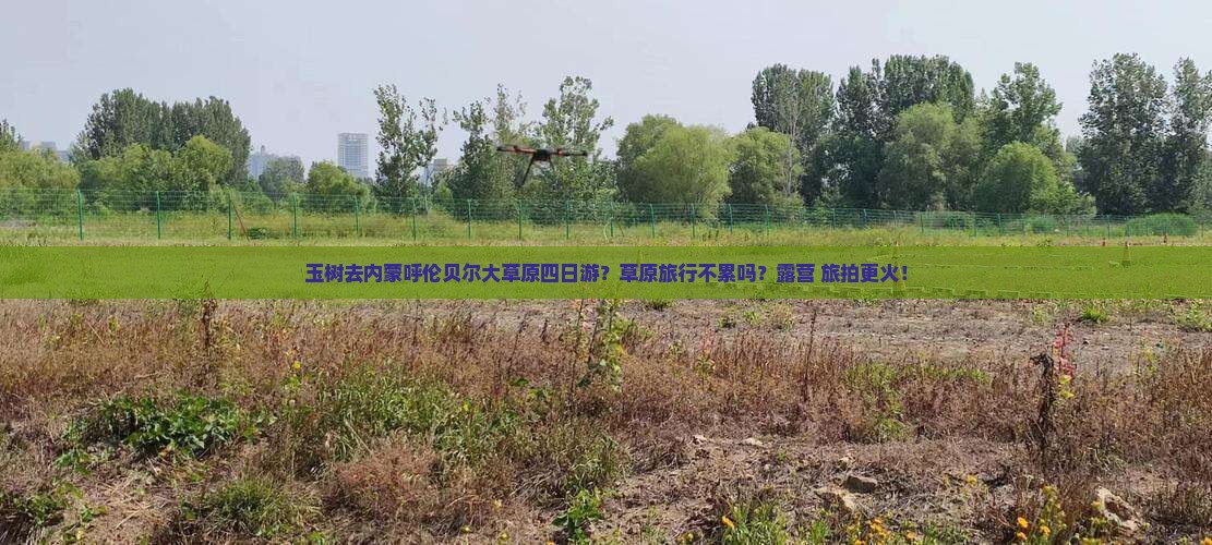 玉树去内蒙呼伦贝尔大草原四日游？草原旅行不累吗？露营+旅拍更火！