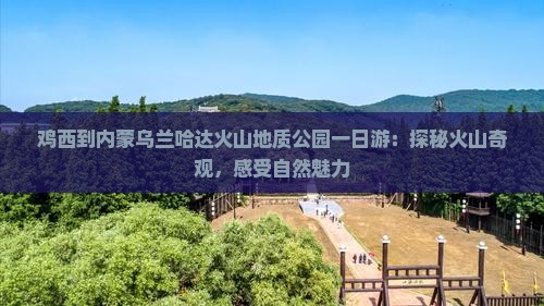 鸡西到内蒙乌兰哈达火山地质公园一日游：探秘火山奇观，感受自然魅力