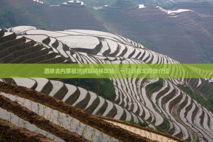 酒泉去内蒙额济纳胡杨林攻略：一日游包车路线介绍