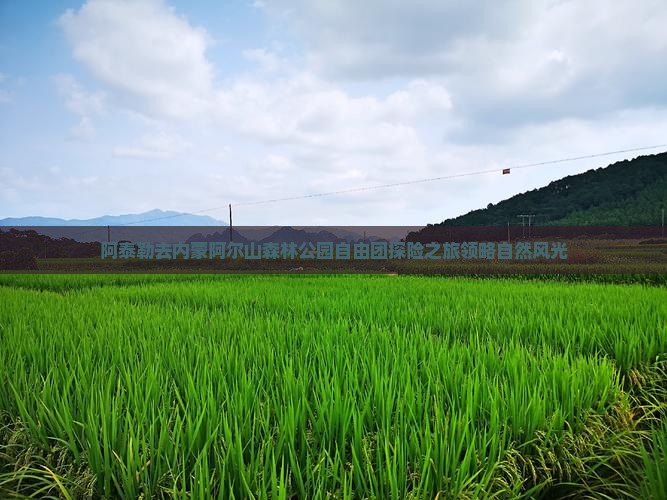 阿泰勒去内蒙阿尔山森林公园自由团探险之旅领略自然风光