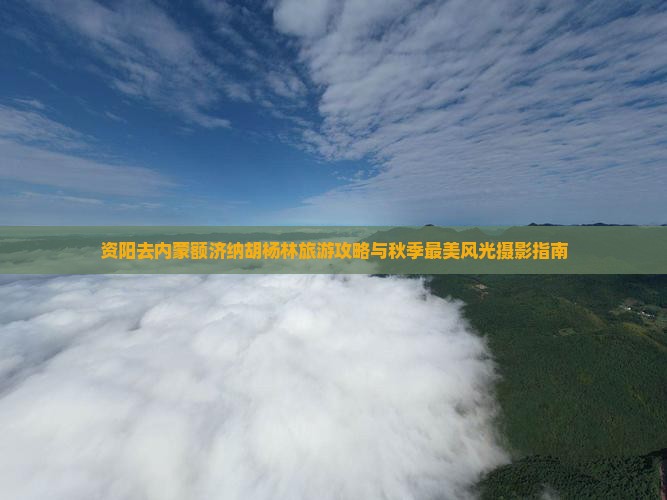 资阳去内蒙额济纳胡杨林旅游攻略与秋季最美风光摄影指南