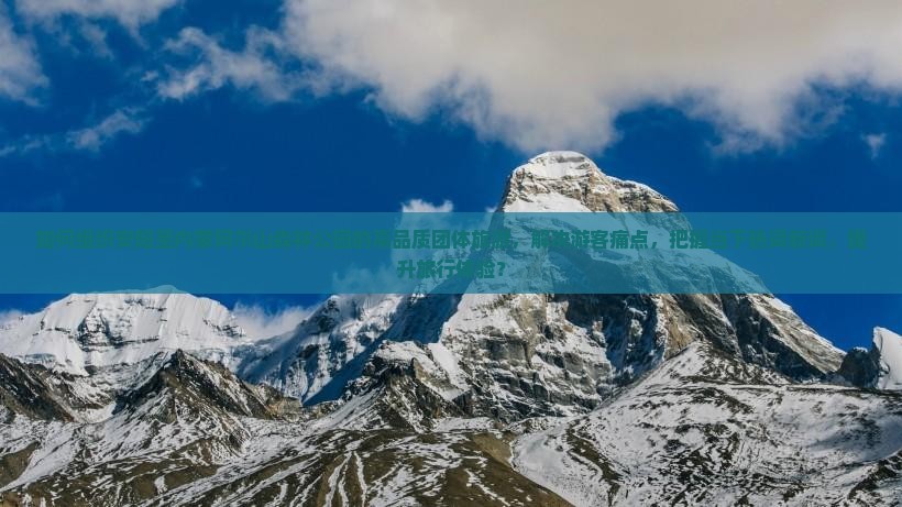 如何组织安阳至内蒙阿尔山森林公园的高品质团体旅游，解决游客痛点，把握当下热词新词，提升旅行体验？