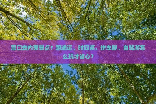 营口去内蒙景点？路途远、时间紧，拼车群、自驾游怎么玩才省心？