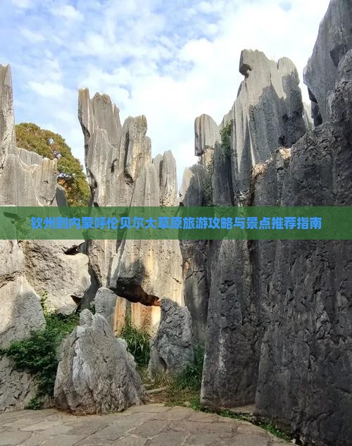 钦州到内蒙呼伦贝尔大草原旅游攻略与景点推荐指南
