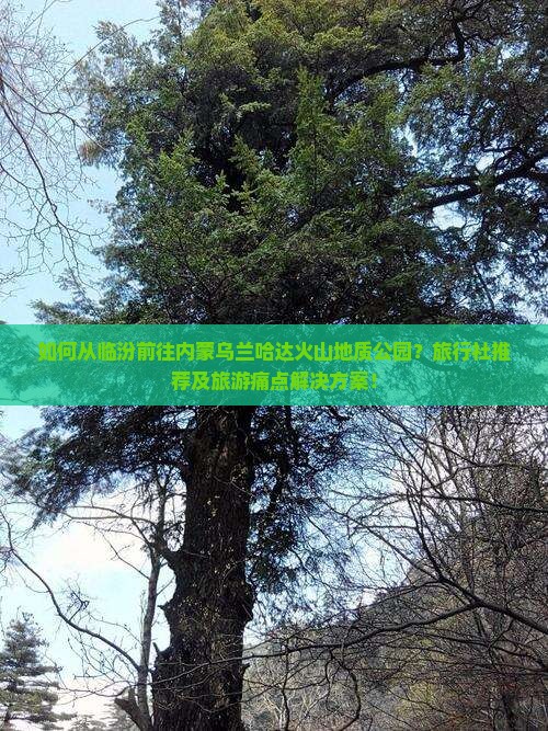 如何从临汾前往内蒙乌兰哈达火山地质公园？旅行社推荐及旅游痛点解决方案！