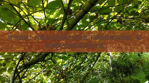 常州出发：内蒙鄂尔多斯市成吉思汗陵团体旅游攻略，畅游内蒙古旅游区经典之旅
