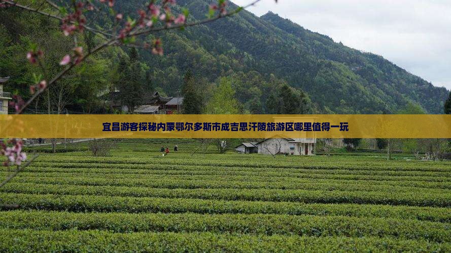 宜昌游客探秘内蒙鄂尔多斯市成吉思汗陵旅游区哪里值得一玩