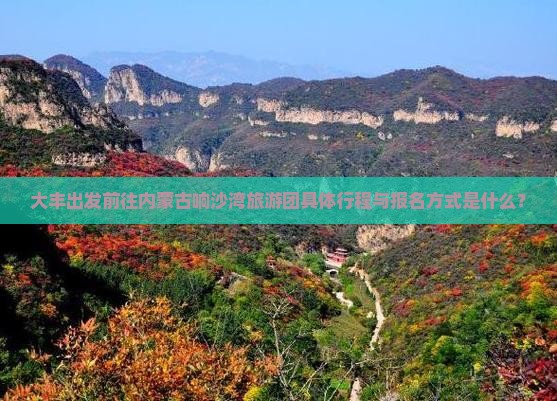 大丰出发前往内蒙古响沙湾旅游团具体行程与报名方式是什么？