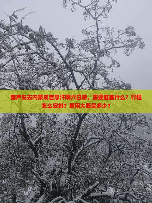 葫芦岛去内蒙成吉思汗陵六日游，需要准备什么？行程怎么安排？费用大概是多少？