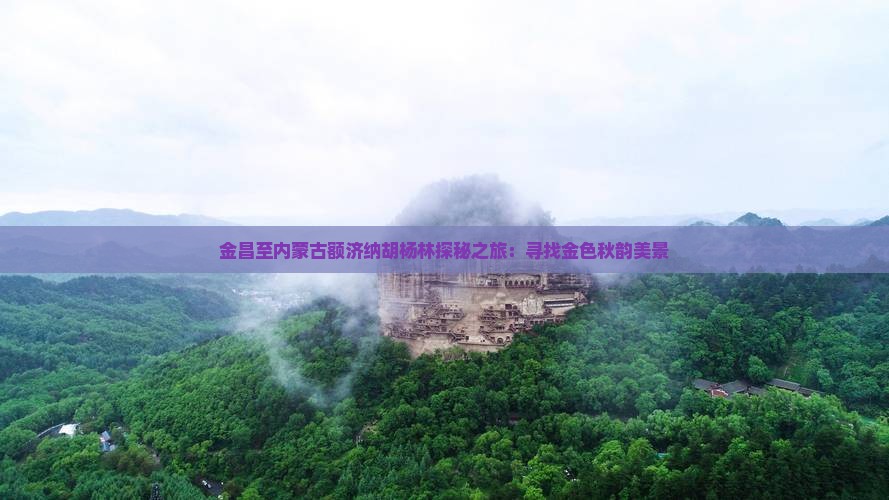 金昌至内蒙古额济纳胡杨林探秘之旅：寻找金色秋韵美景