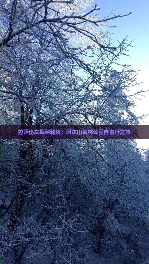 拉萨出发探秘秘境：阿尔山森林公园自由行之旅