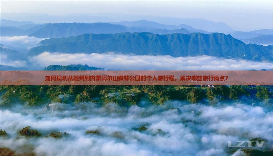 如何规划从随州到内蒙阿尔山森林公园的个人游行程，解决哪些旅行痛点？