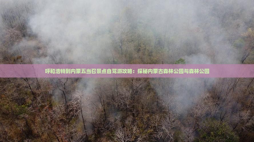 呼和浩特到内蒙五当召景点自驾游攻略：探秘内蒙古森林公园与森林公园