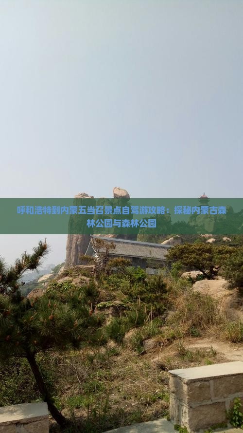 呼和浩特到内蒙五当召景点自驾游攻略：探秘内蒙古森林公园与森林公园